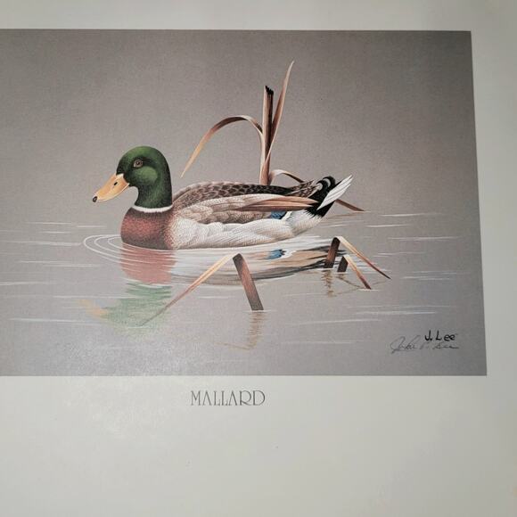 John P Lee 1983 MALLARD Unframed print #554/650 Pencil Signed 11⅛ x 10¼ - Picture 1 of 7